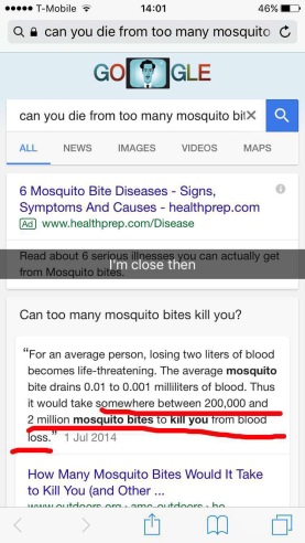 mosquito bites google